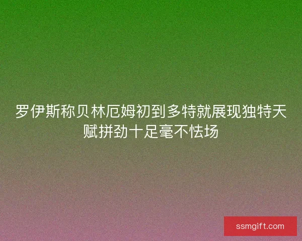 罗伊斯称贝林厄姆初到多特就展现独特天赋拼劲十足毫不怯场